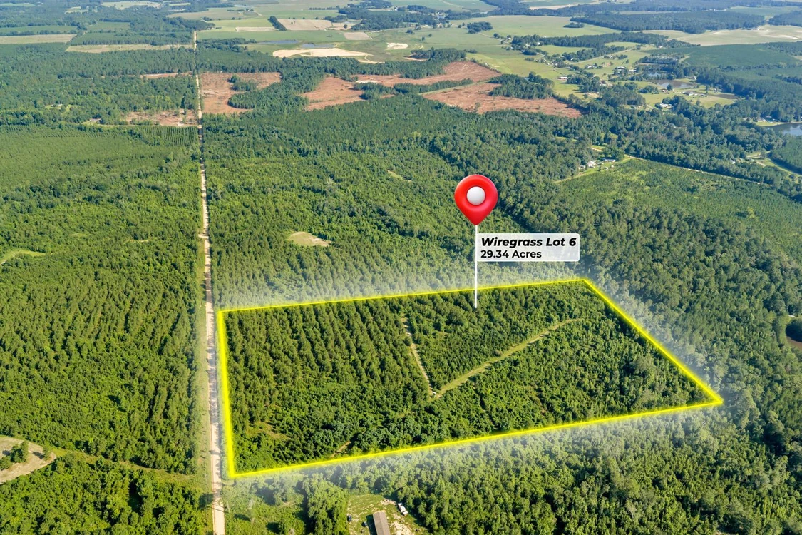 Main Listing Image