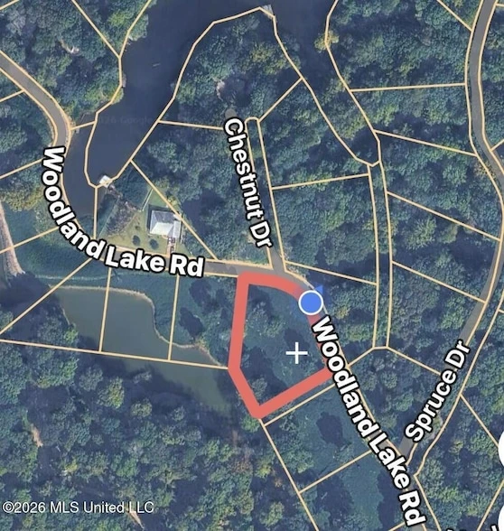 Main Listing Image