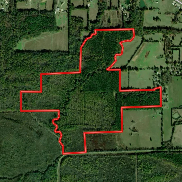 Main Listing Image