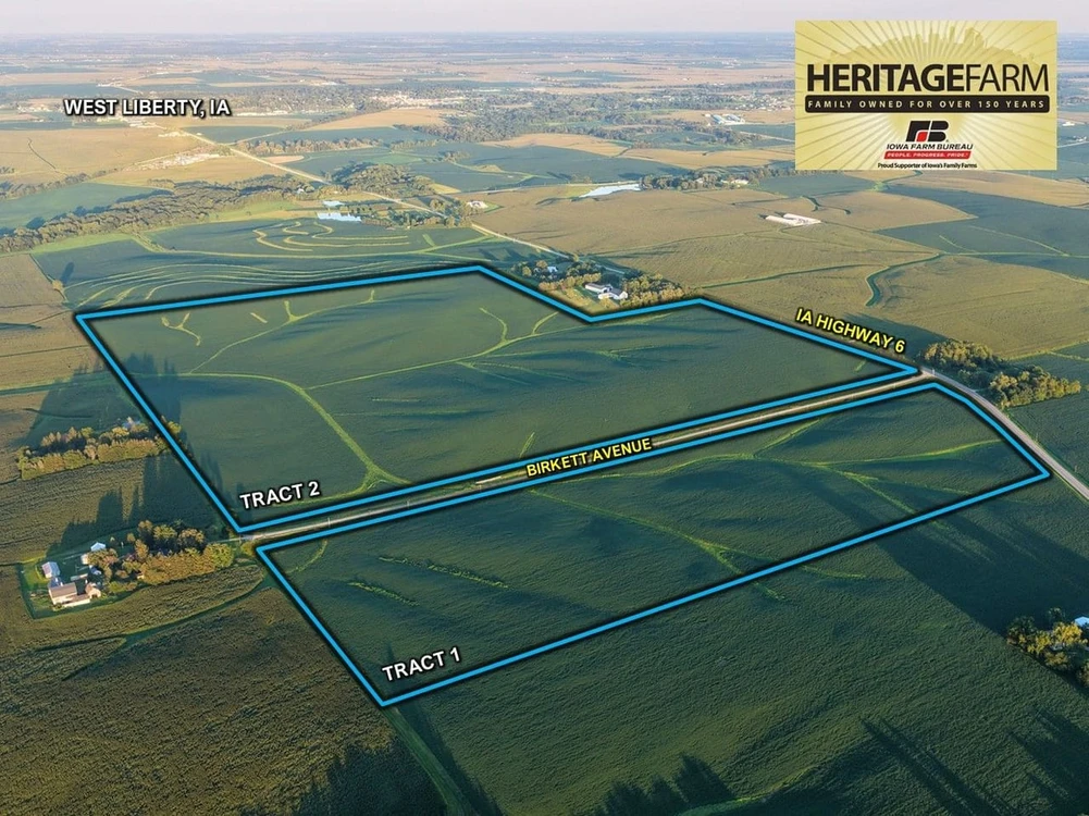Main Listing Image