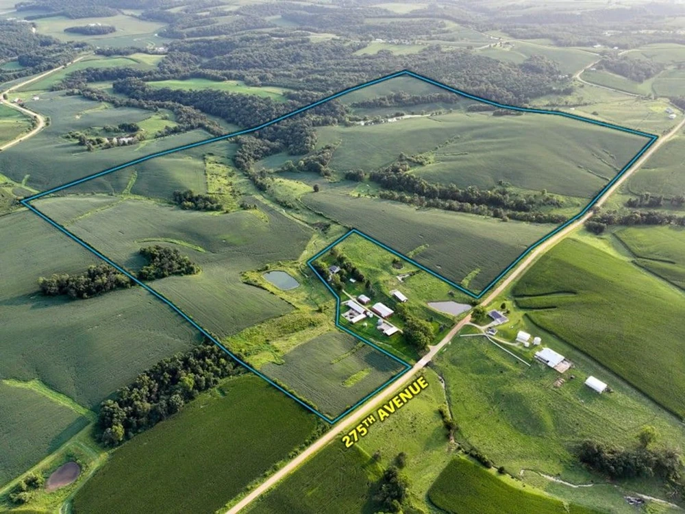 Main Listing Image