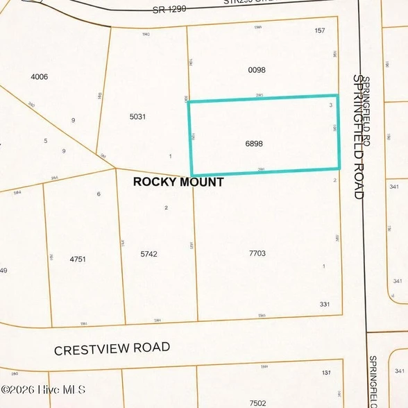 Main Listing Image