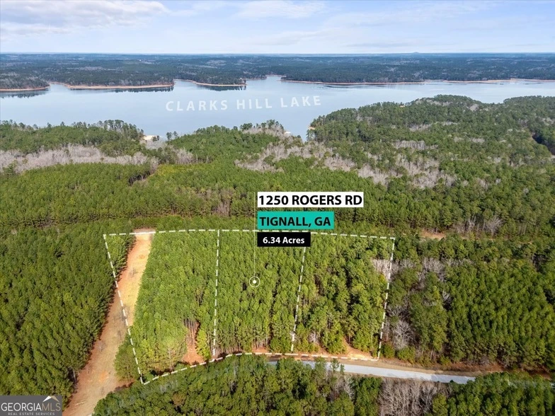 Main Listing Image