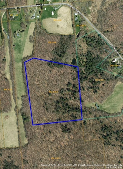 Main Listing Image