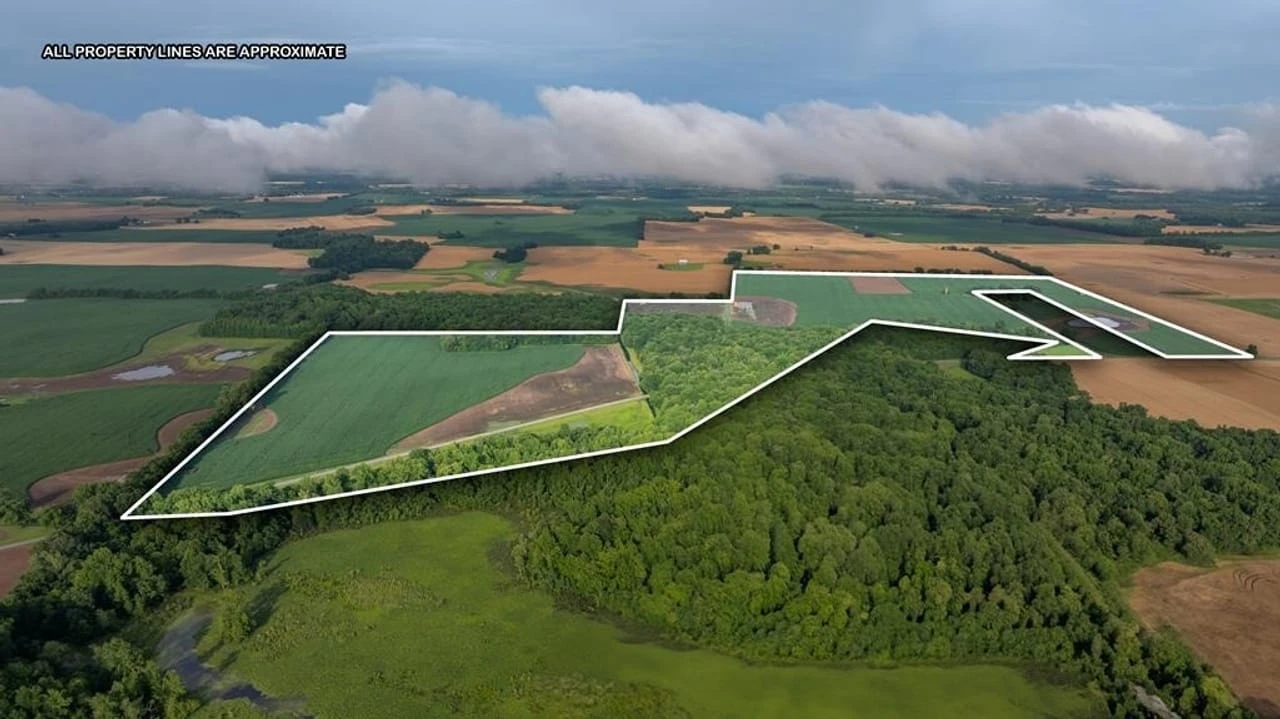 Main Listing Image