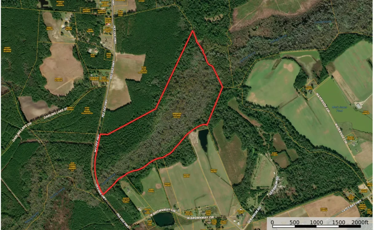 Main Listing Image
